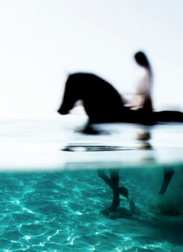 On A Horse In The Mediterranean Sea By Enric Gener On Rag Paper