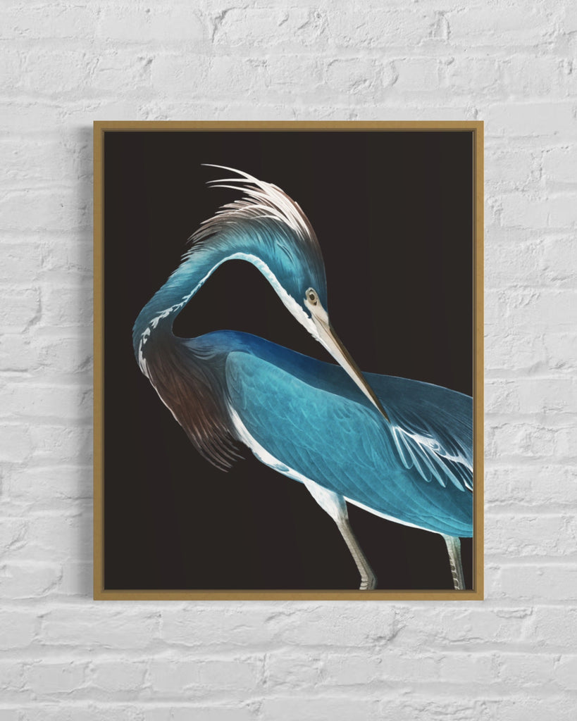 Blue Heron ( Rectangular) Canvas With A Brushed Gold Floater Print