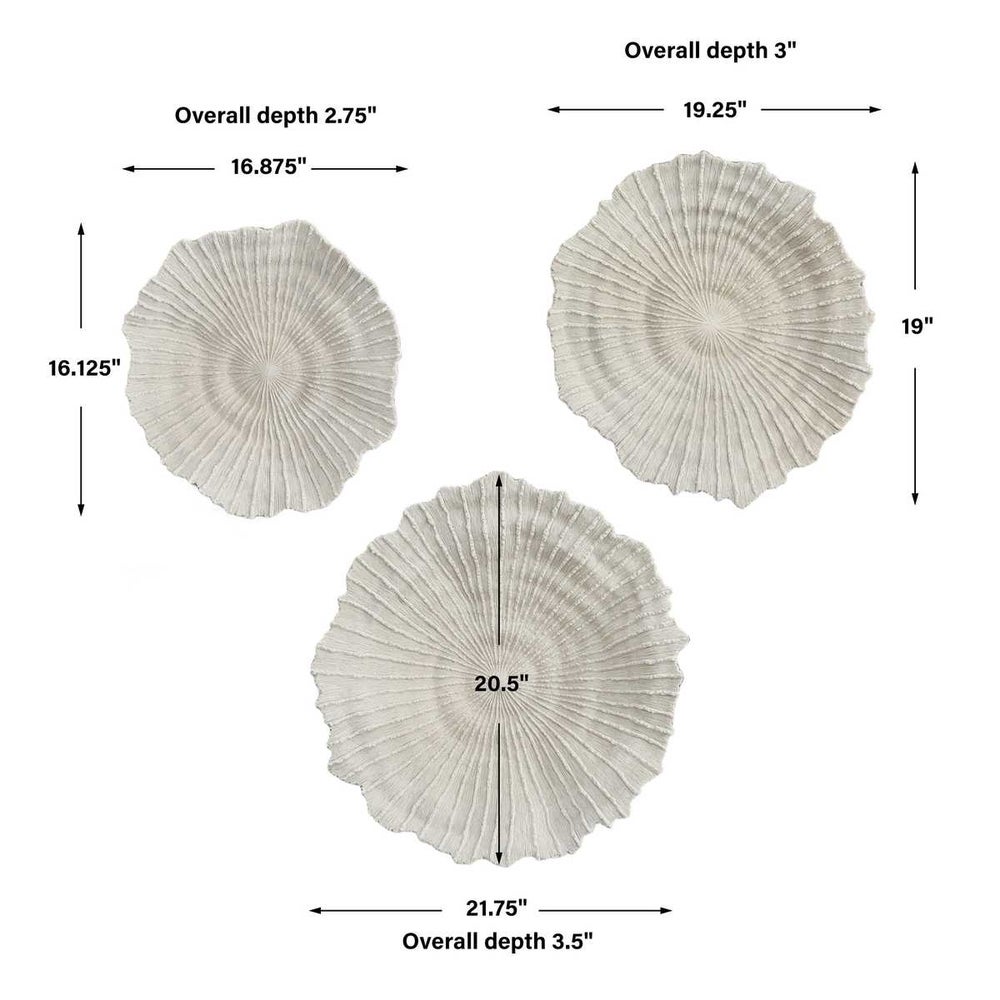 Ocean Gems Wall Decor, Natural, Set of 3