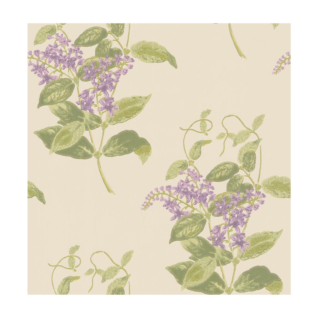Madras Violet - Olive & Lavender