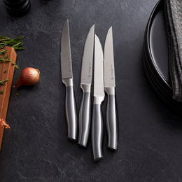 4-Piece Steak Knife Set Graphite