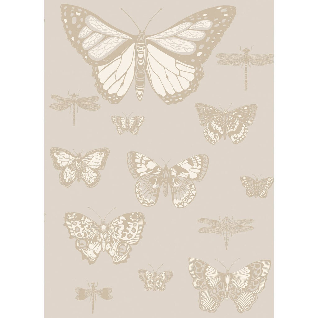 Butterflies & Dragonflies - Grey