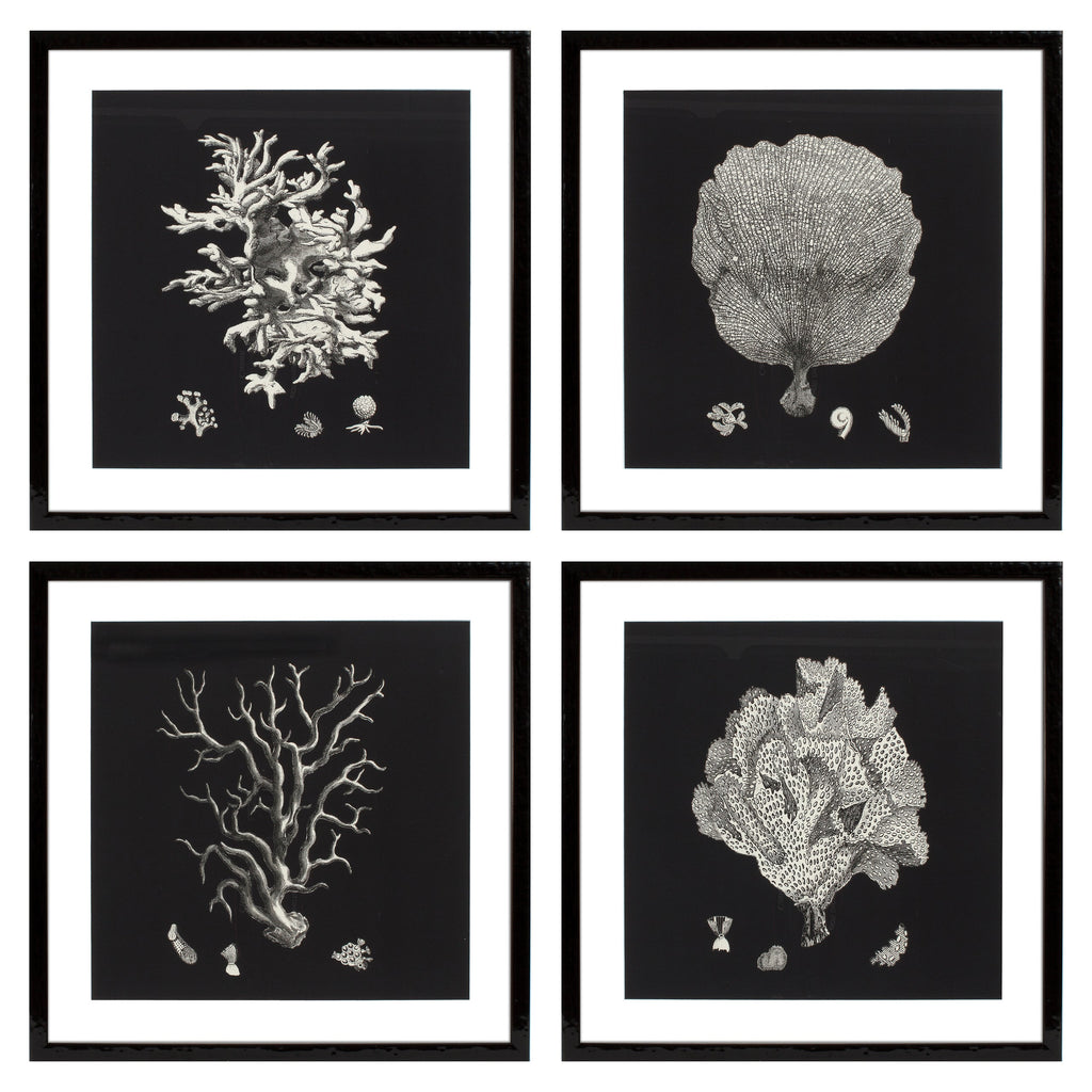 Print Ec191 Black and Tan Corals Set of 4