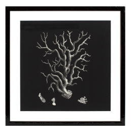 Print Ec191 Black and Tan Corals Set of 4
