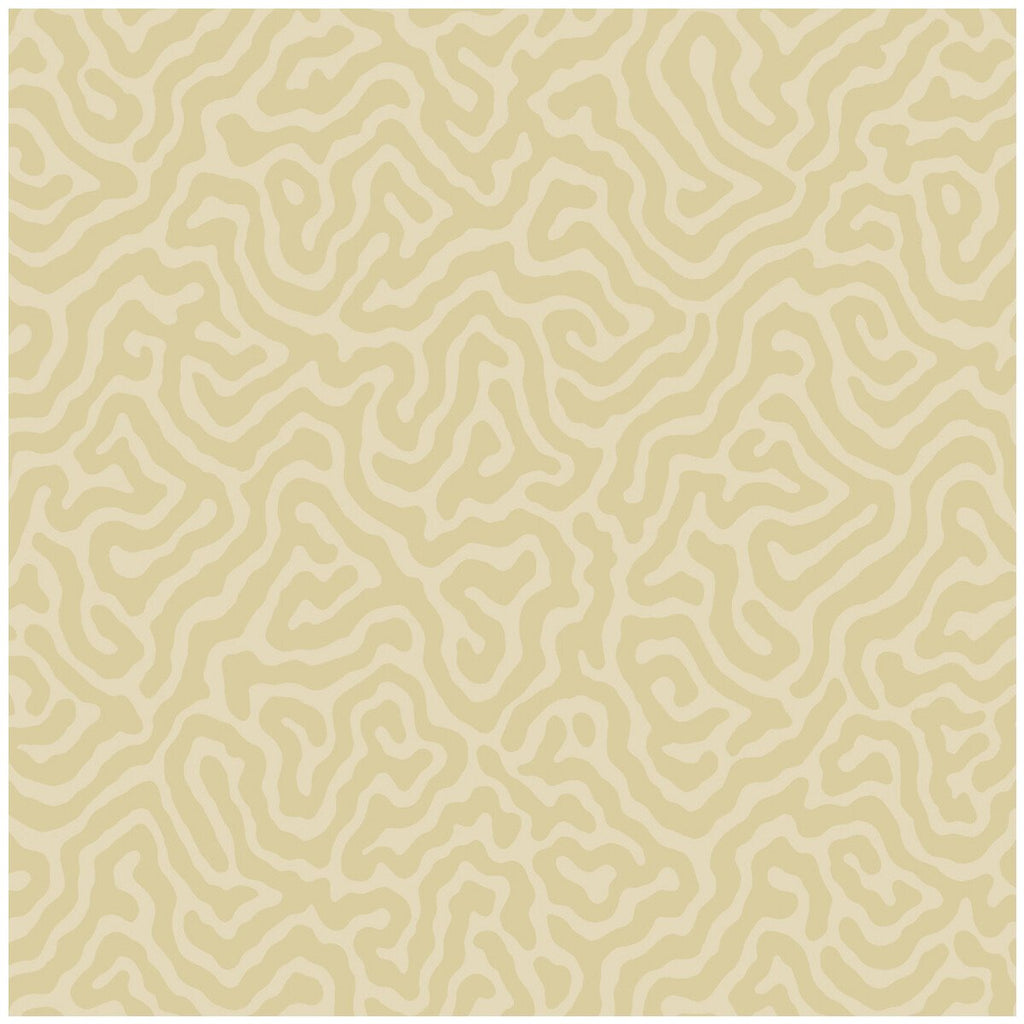 Coral - Cream