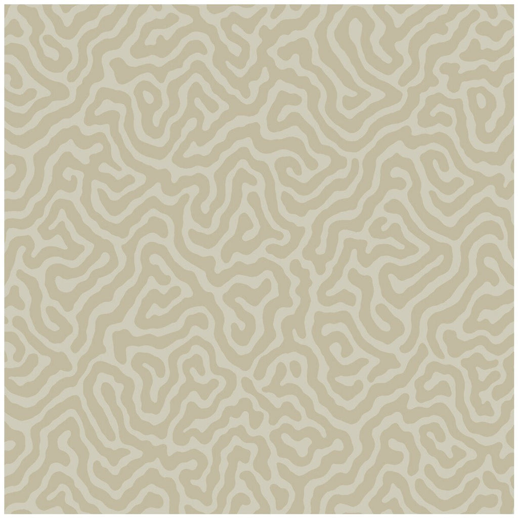 Coral - Pale Stone