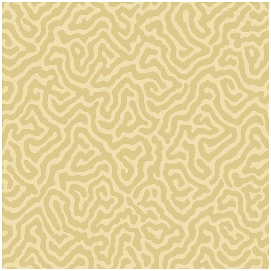 Coral - Ochre