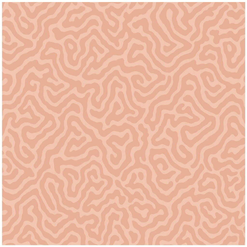 Coral - Salmon