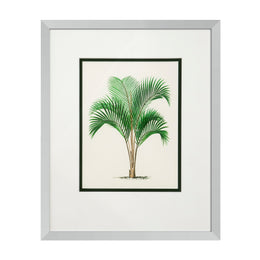 Print Palms Set of 4