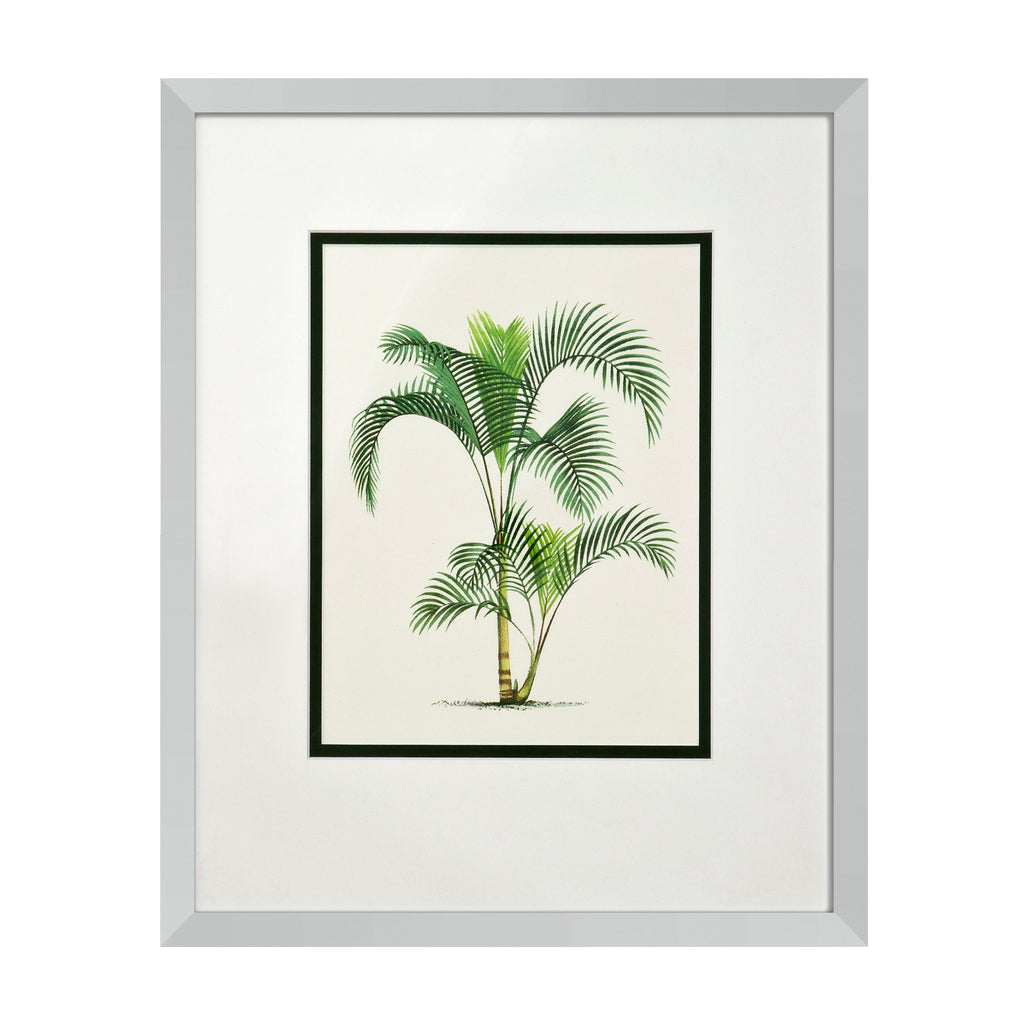 Print Palms Set of 4