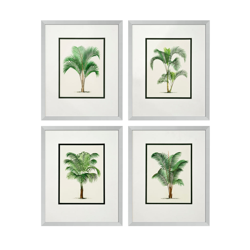 Print Palms Set of 4