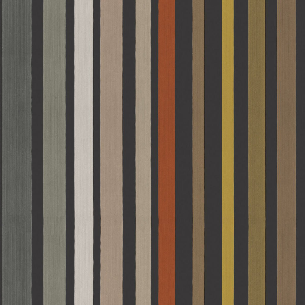 Carousel Stripe - Charcoal