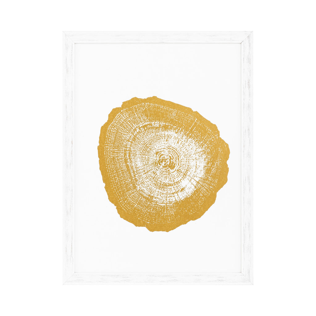 Print Ec257 Gold Foil: Tree Rings Set of 4