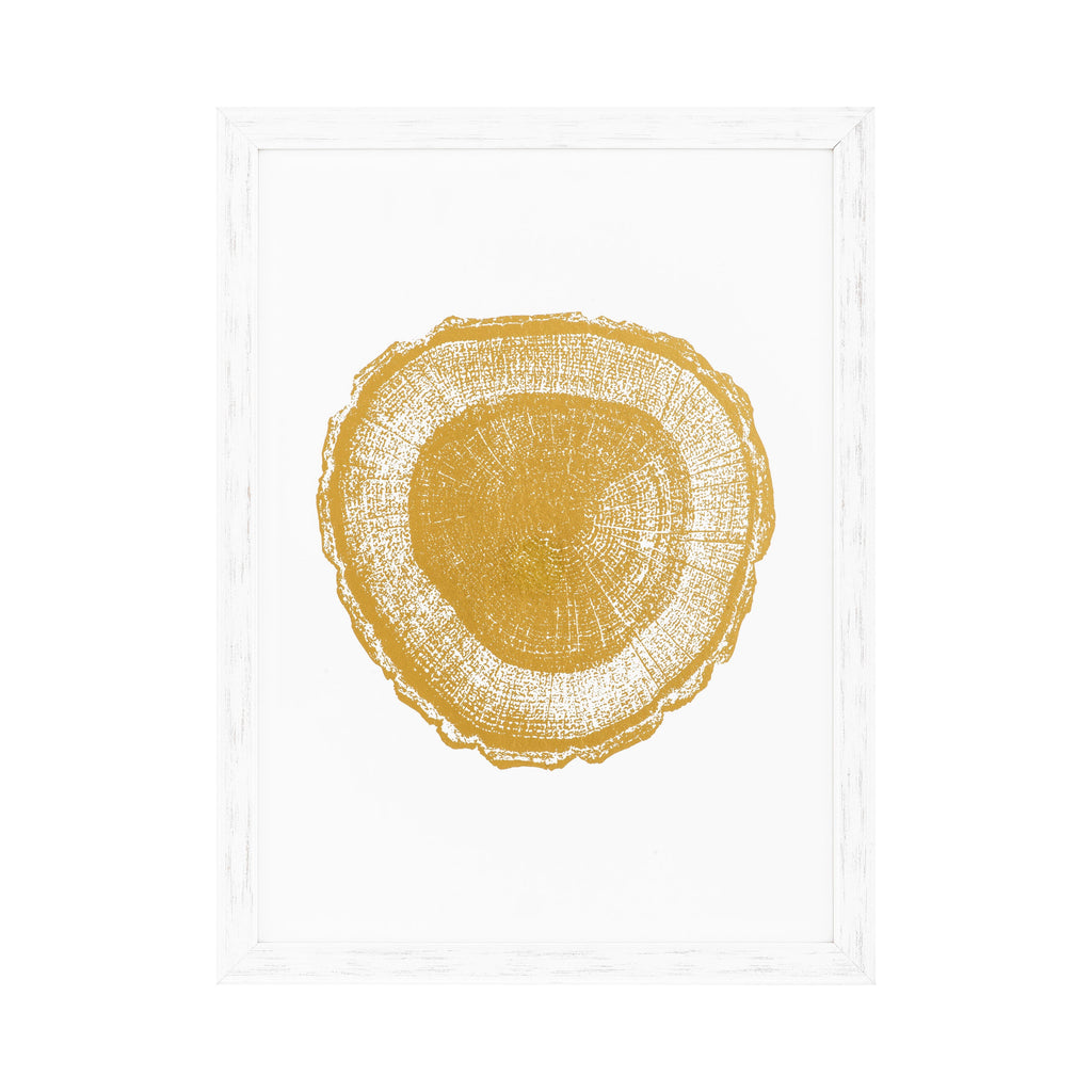 Print Ec257 Gold Foil: Tree Rings Set of 4