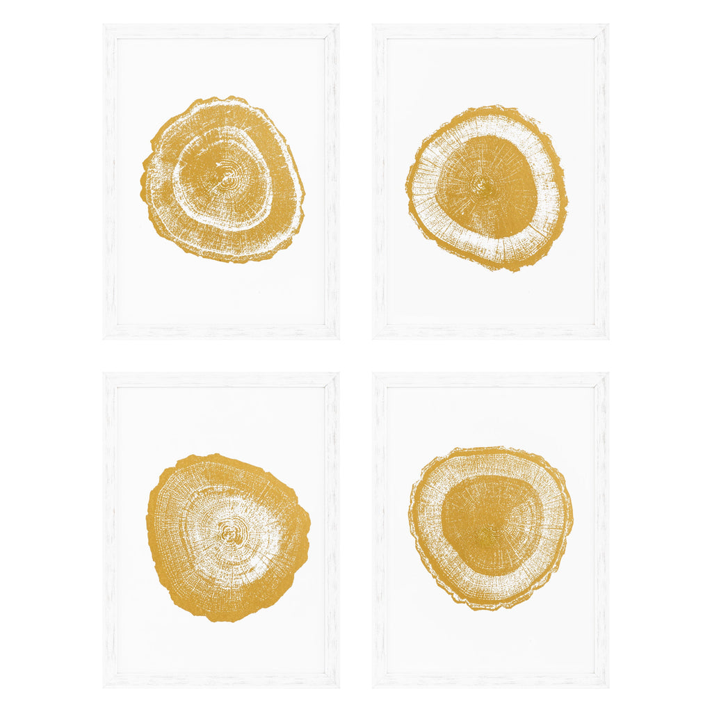 Print Ec257 Gold Foil: Tree Rings Set of 4