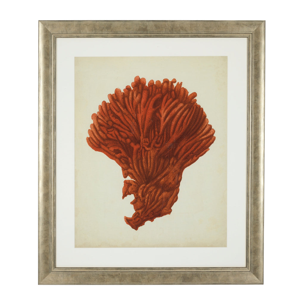 Print Ec258 Antique Red Corals Set of 6