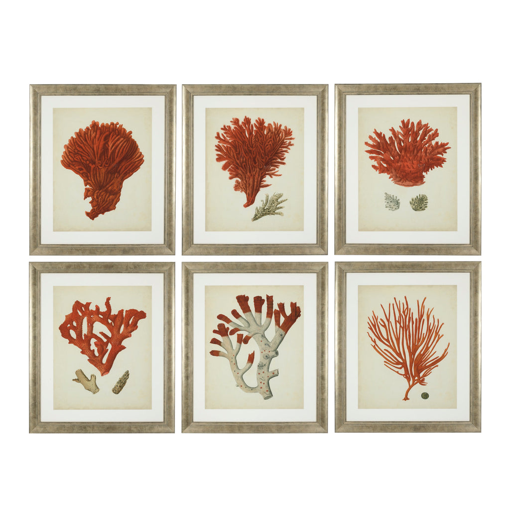 Print Ec258 Antique Red Corals Set of 6