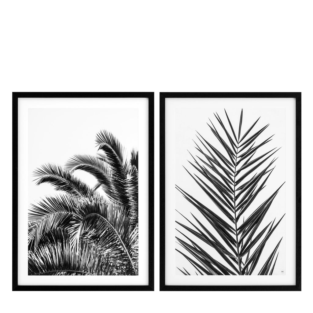 Print Ec274 Palm Leaves Set of 2