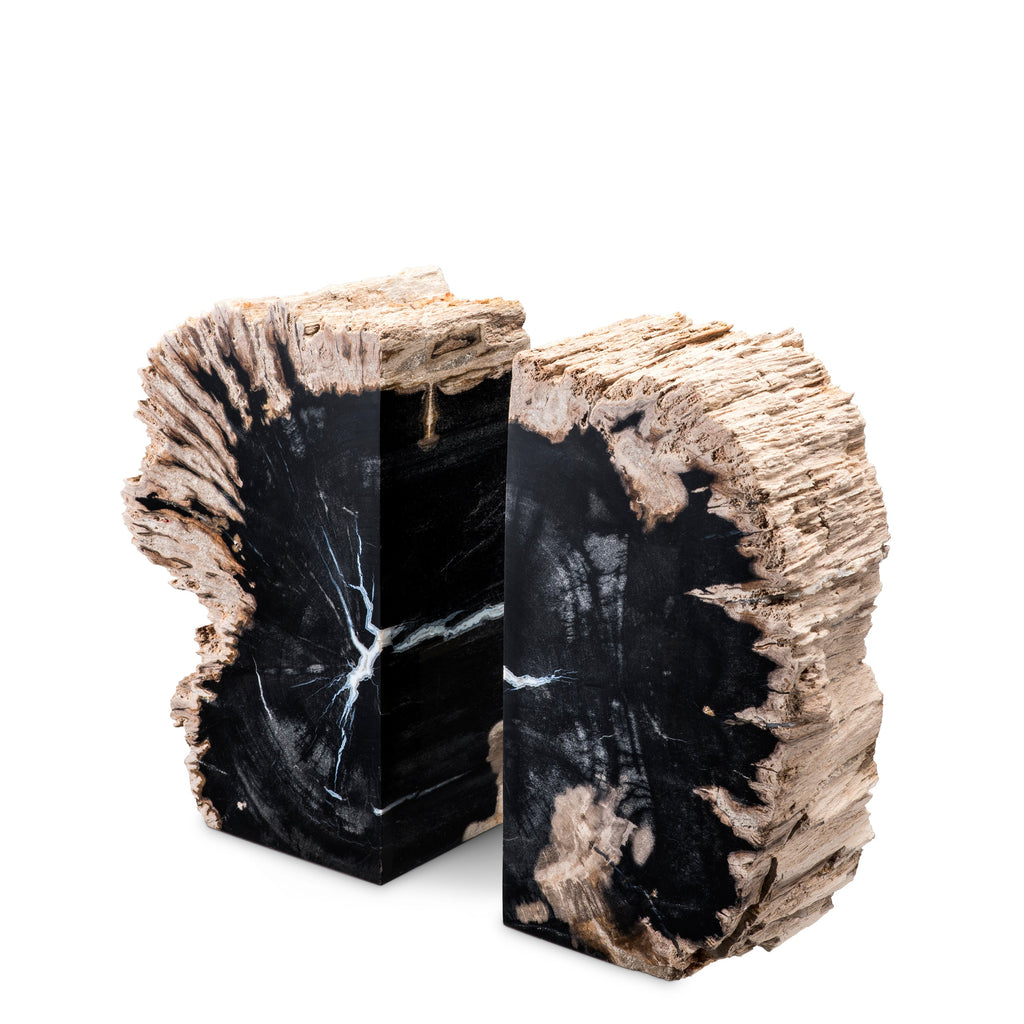 Bookend Opia Petrified Wood Set of 2