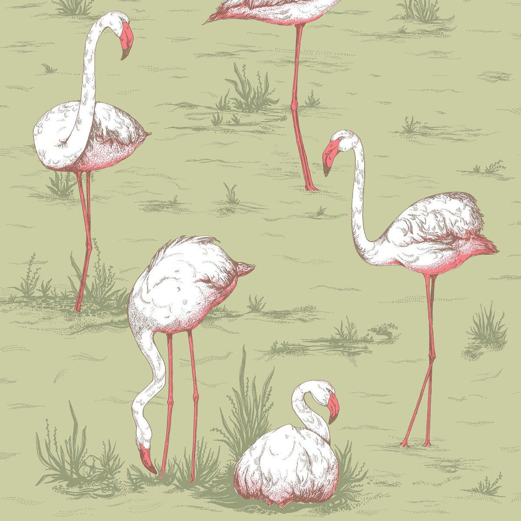 Flamingos - Olive