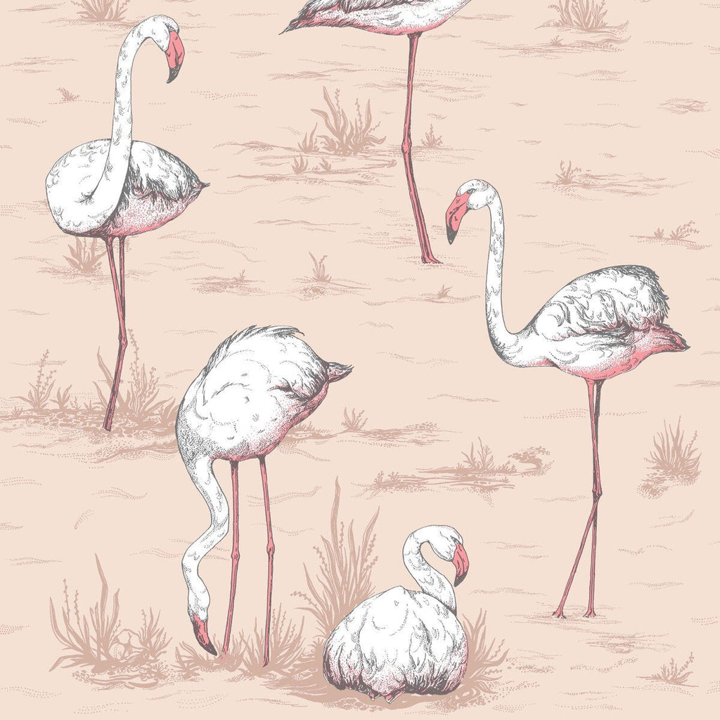 Flamingos - Plaster Pink