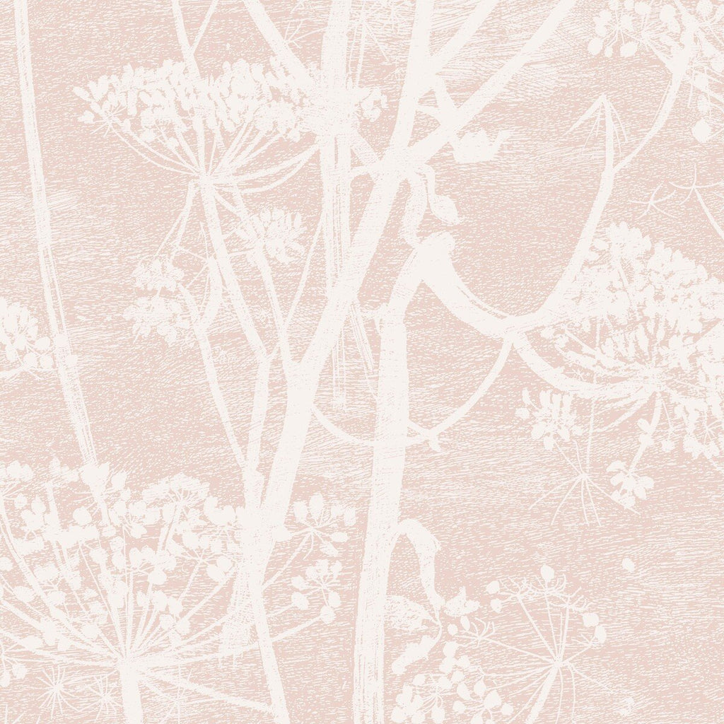 Cow Parsley - Plaster Pink