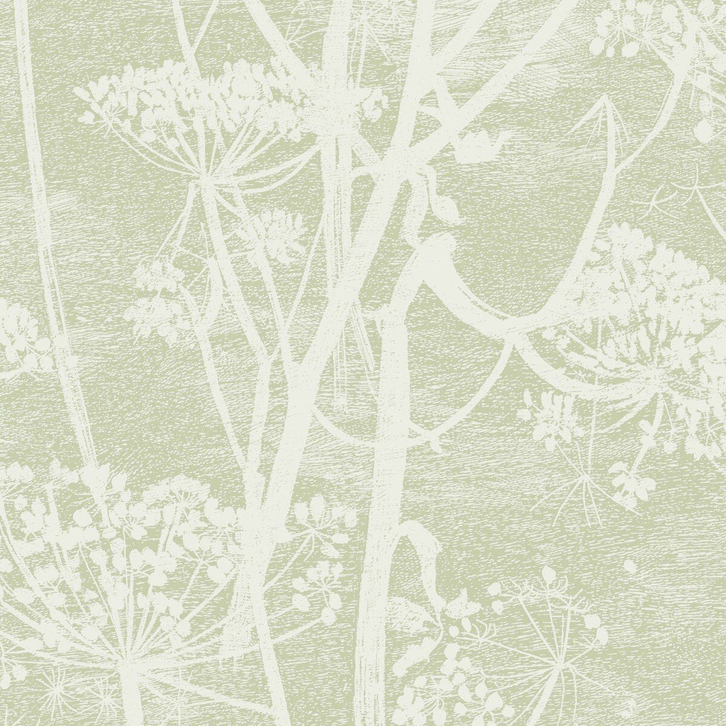 Cow Parsley - Olive