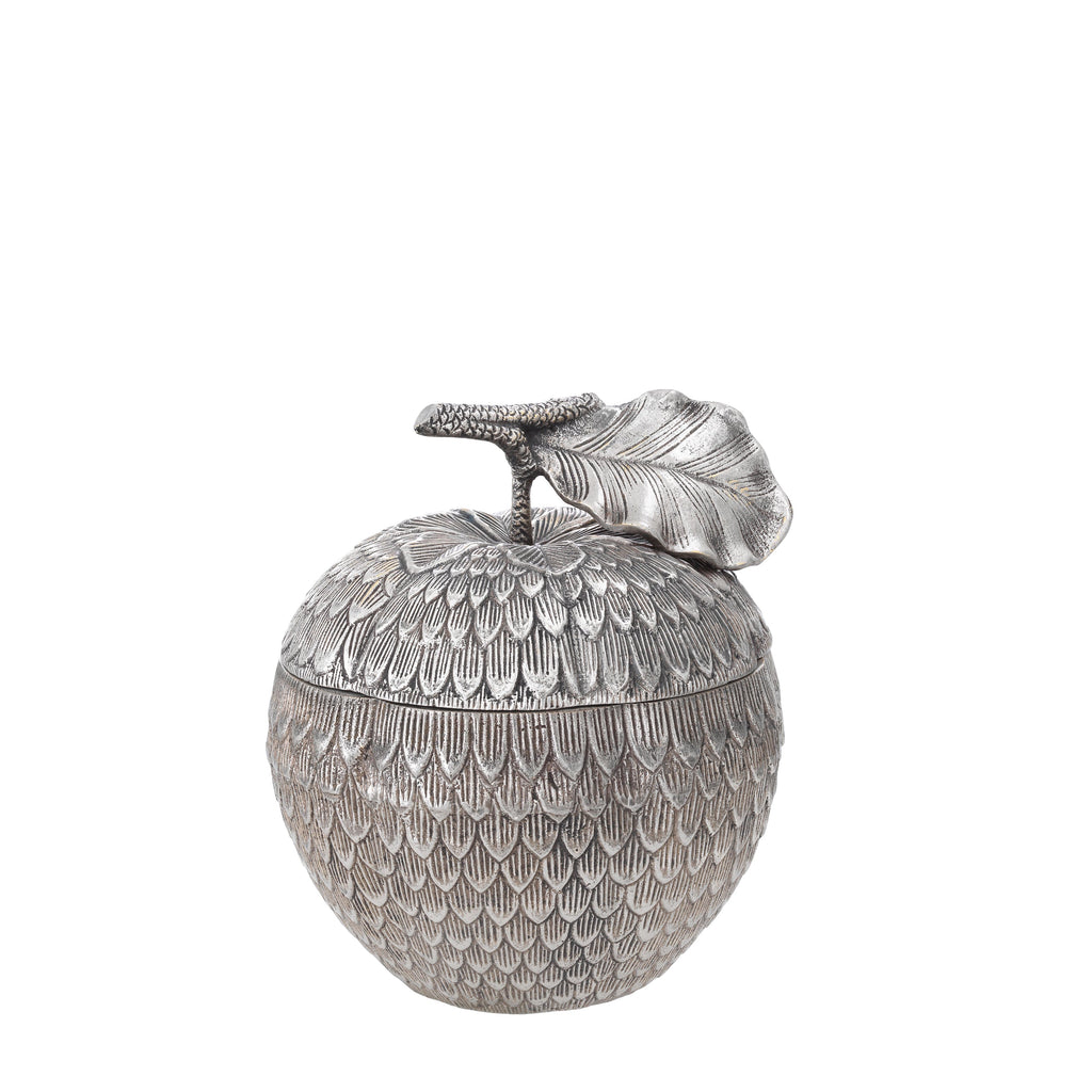 Box Custard Apple Antique Nickel Finish