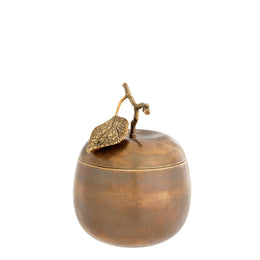 Box Apple and Pear Vintage Brass Finish Set of 2