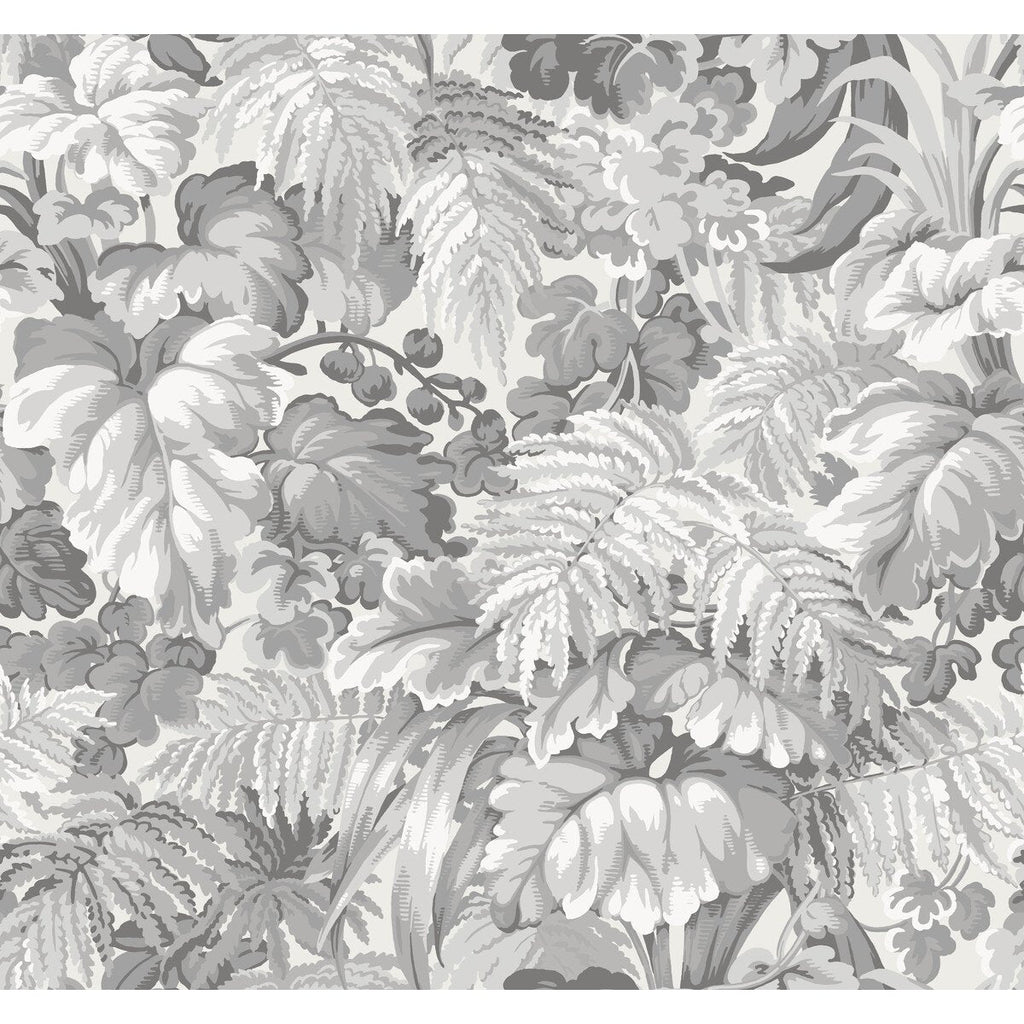 Royal Fernery - Warm Grey