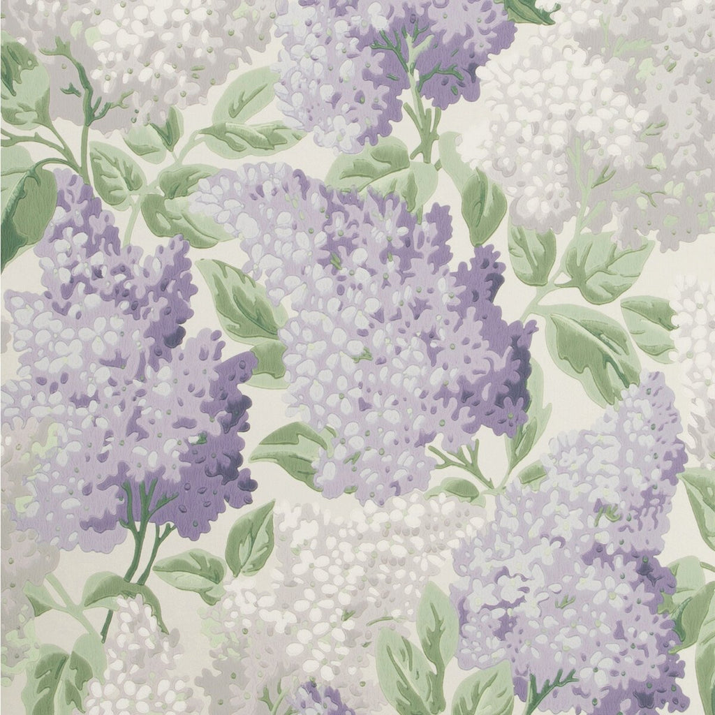 Lilac - Lilac/Dove/White