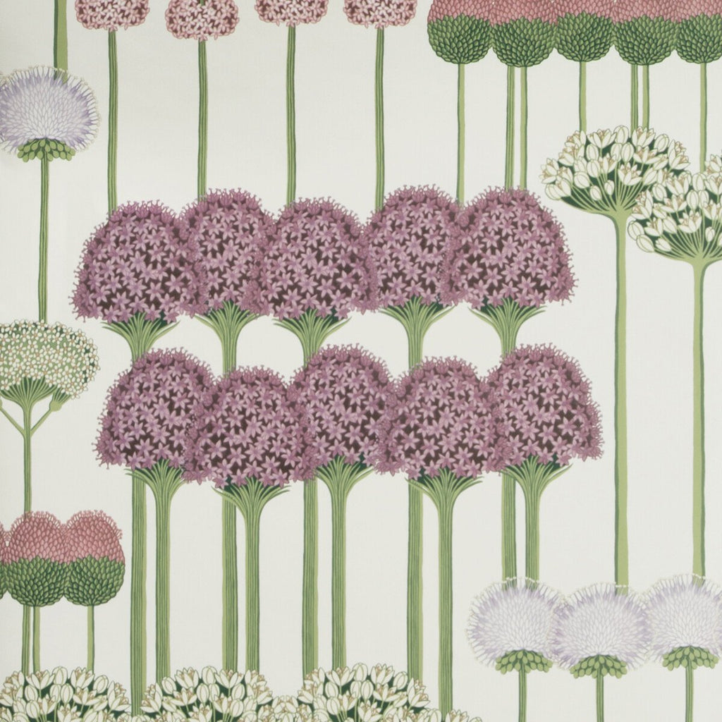 Allium - Mulb/Blush/Lilac/Wh