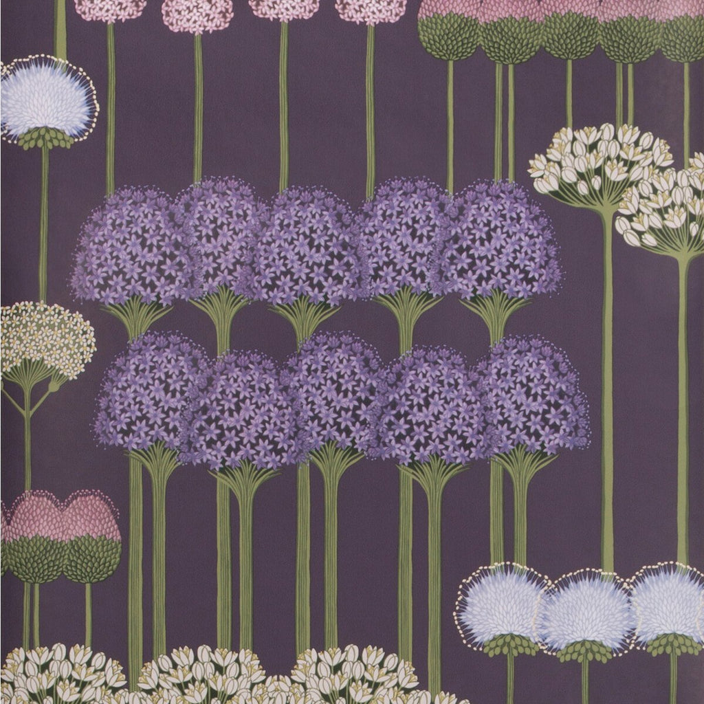 Allium - Mulb/Heather/Violet