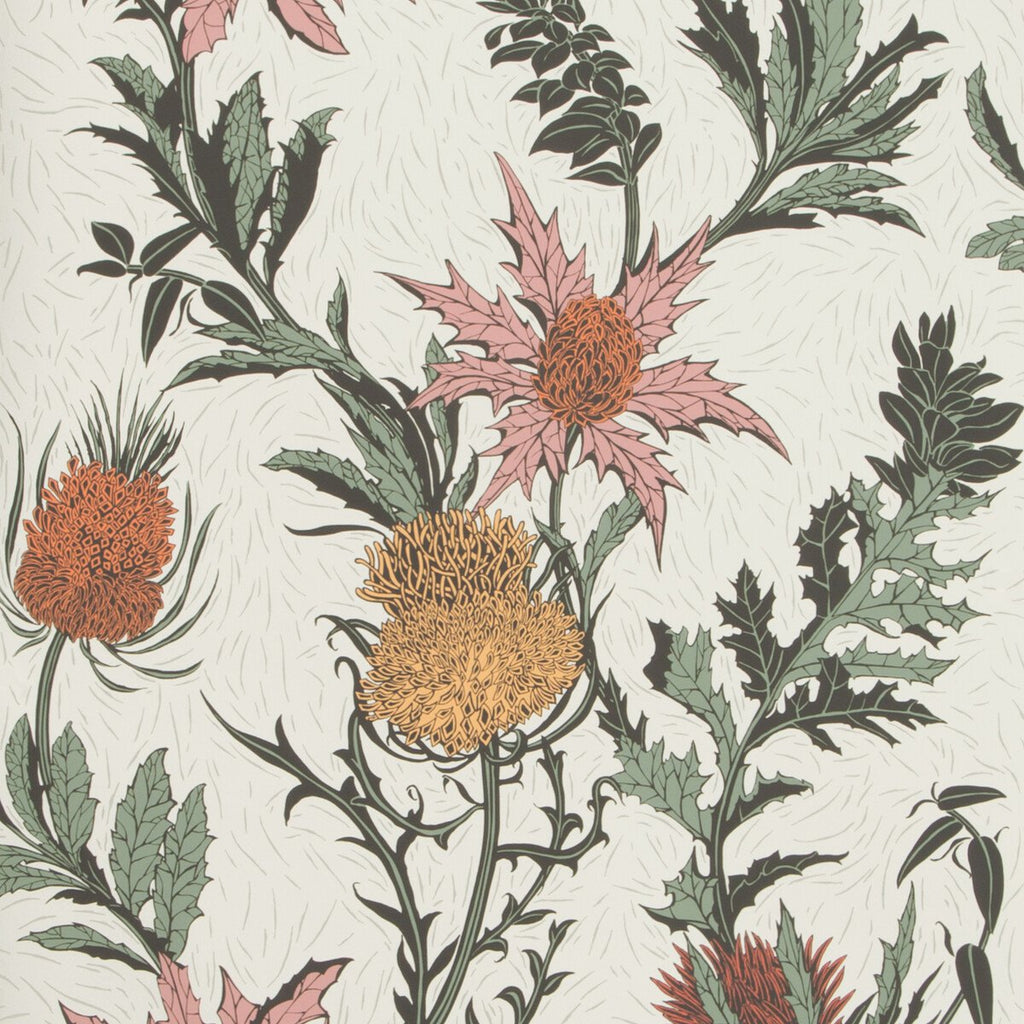 Thistle - A Pink/Orange/Parch