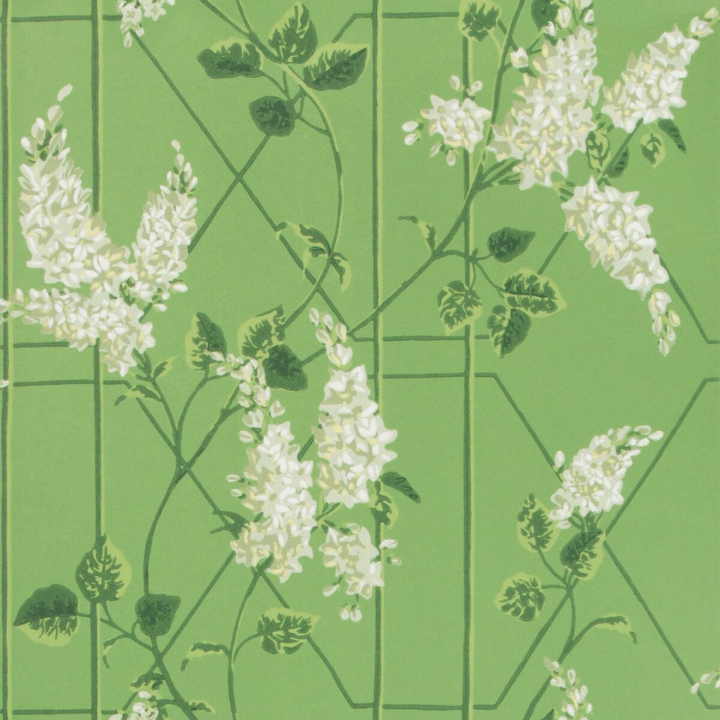 Wisteria - Sage/Leaf Green