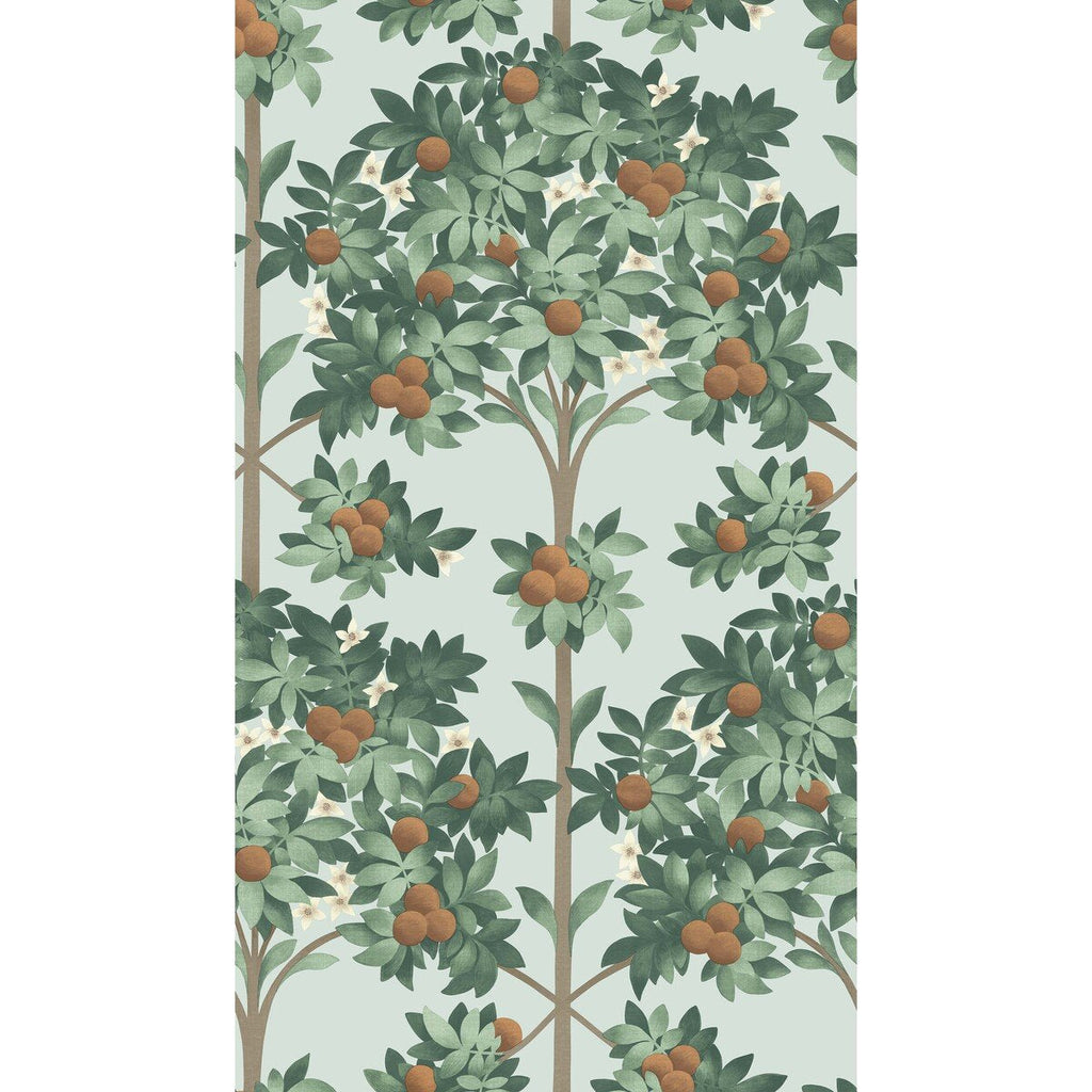 Orange Blossom - Burnt Orange/Mint/Seafoam