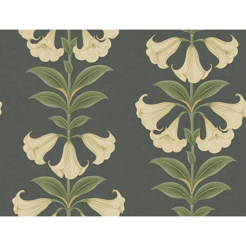 Angels Trumpet - Cream/Olive Green/Charcoal