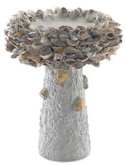 Oyster Shell Medium Bird Bath