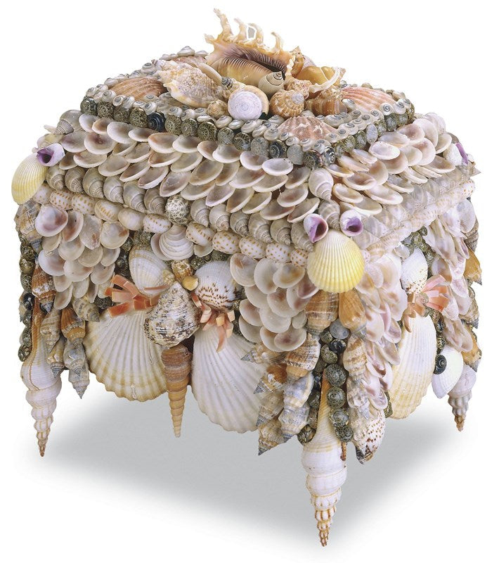 Boardwalk Shell Jewelry Box