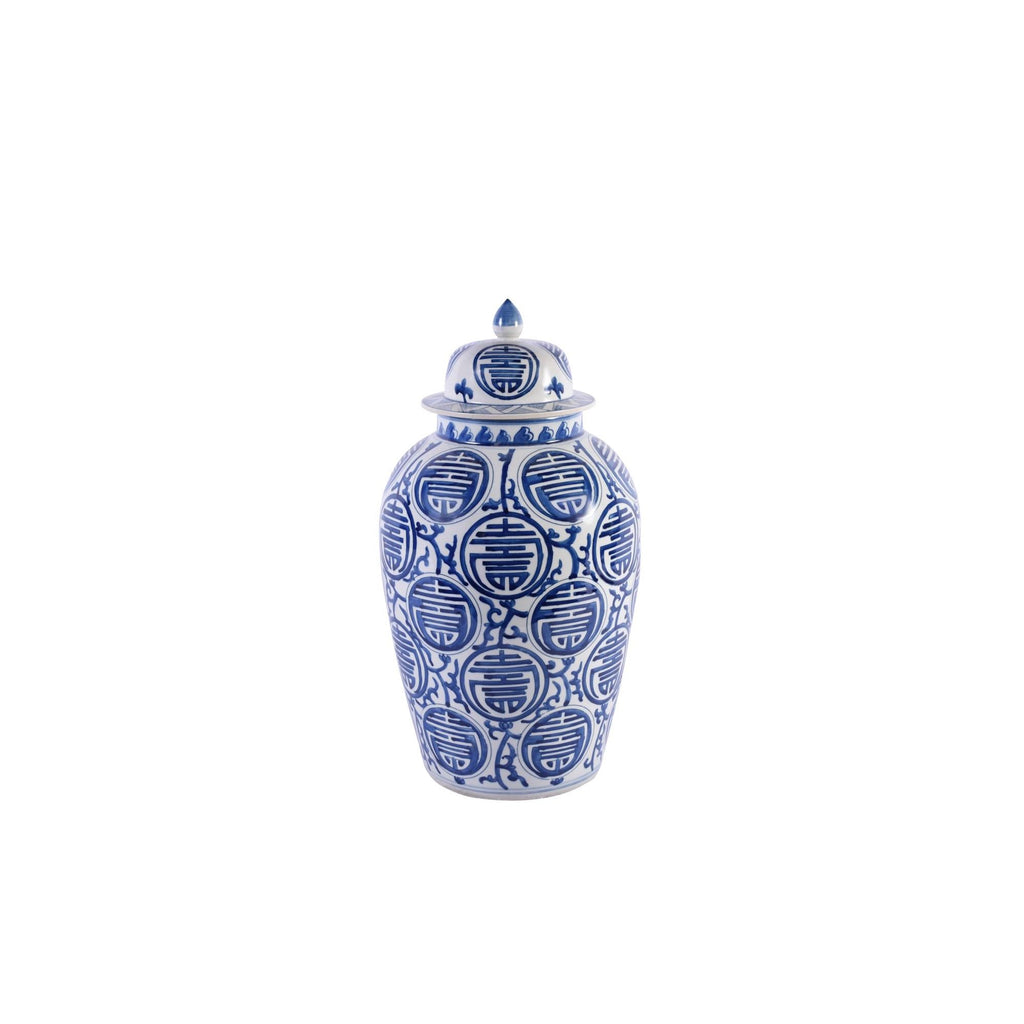 Blue and White Longevity Heaven Jar