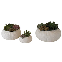 Ceramic Urchin Bowl : Ceramic Urchin Bowl (Large / Matte White)