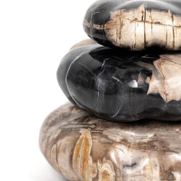 Petrified Wood Organic Sculpture, Set Of 3 - Dark Petrified Wood