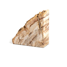 Petrified Wood Book Ends - Light Petrified Wood