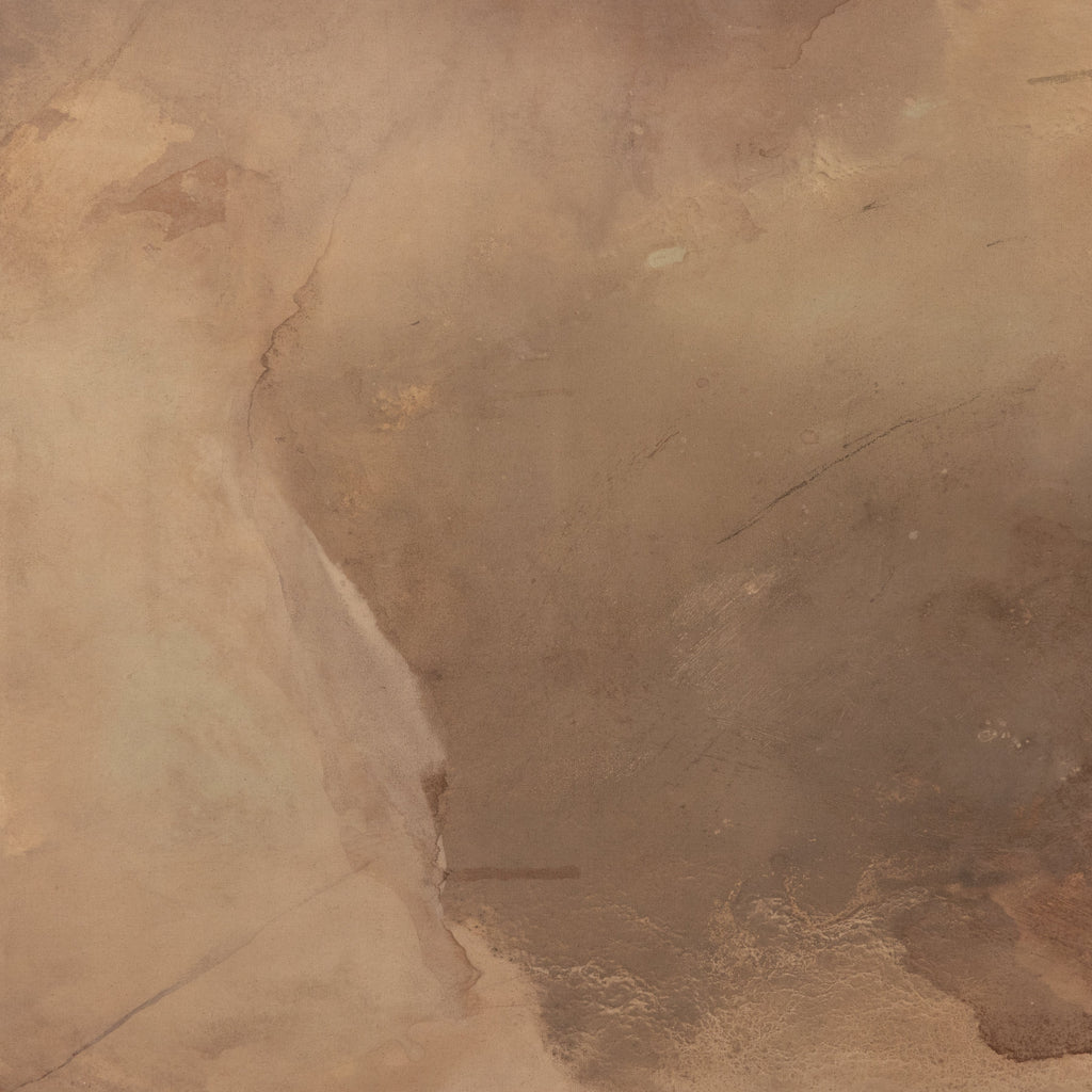 Mushroom Fields By Molly Supplee