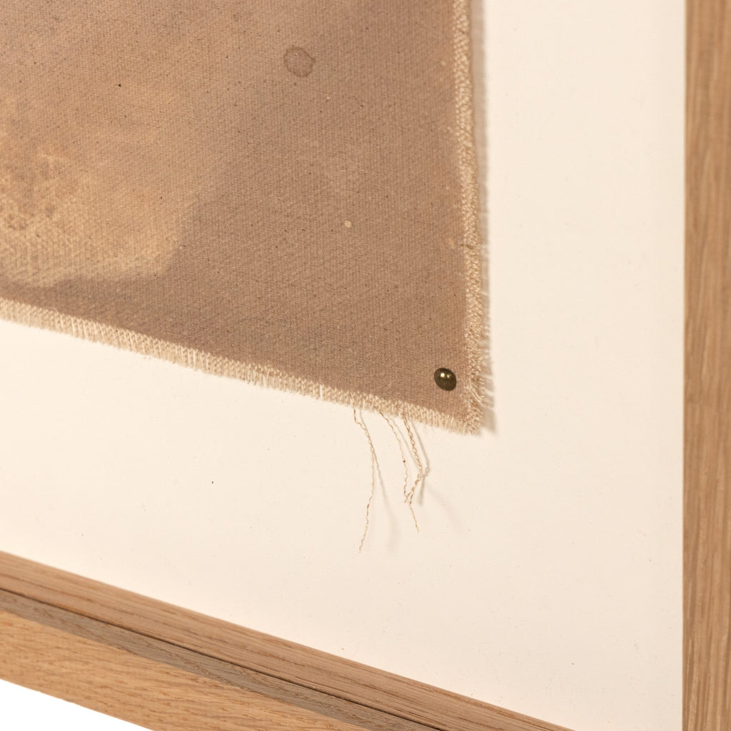 Mushroom Fields By Molly Supplee