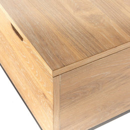 Elaine Trunk-Whitewashed Oak Veneer