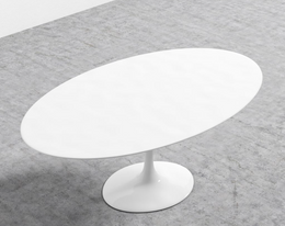 Tulip Table Oval, White Base & White Lacquer Veneer