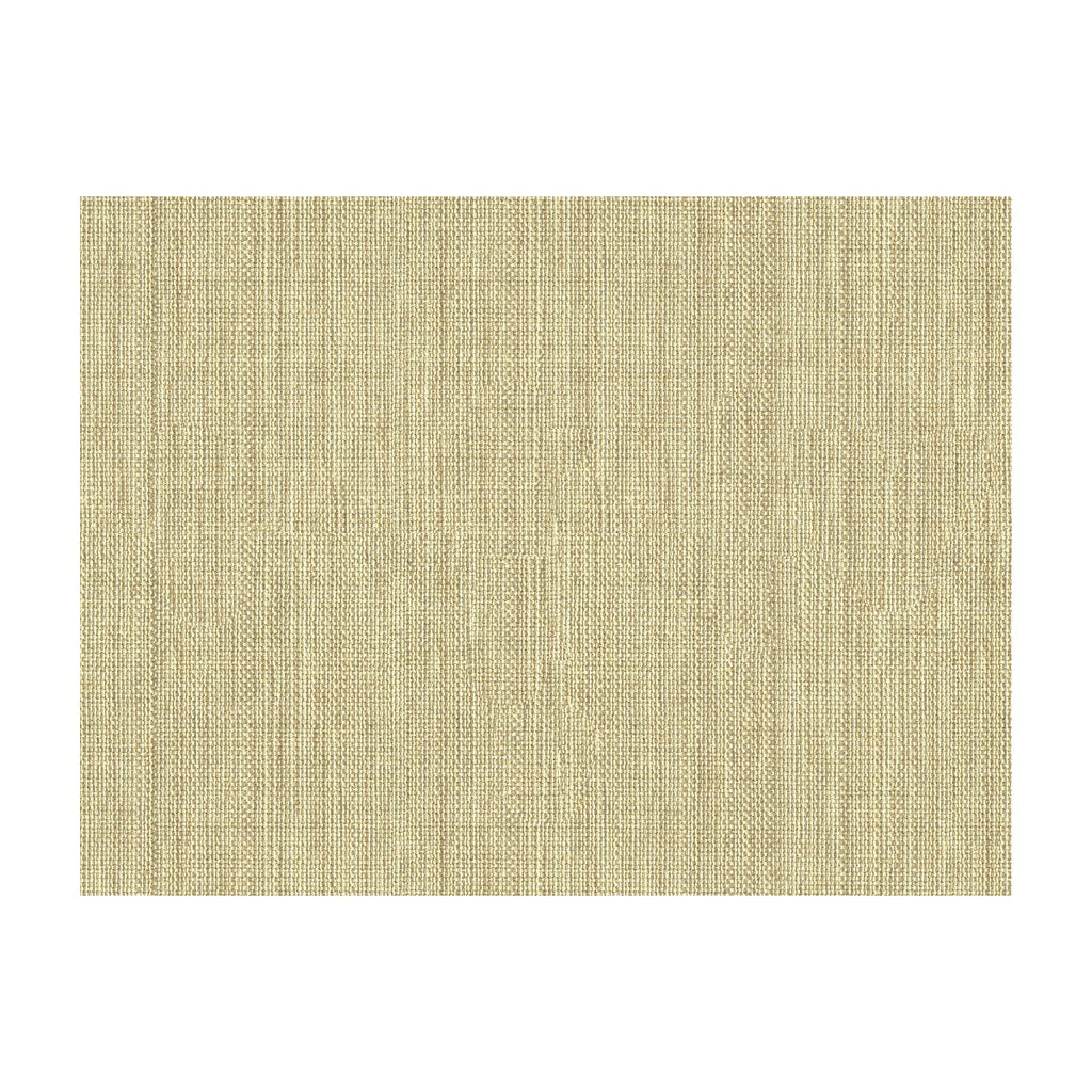 Kravet Basics - 30299-1006