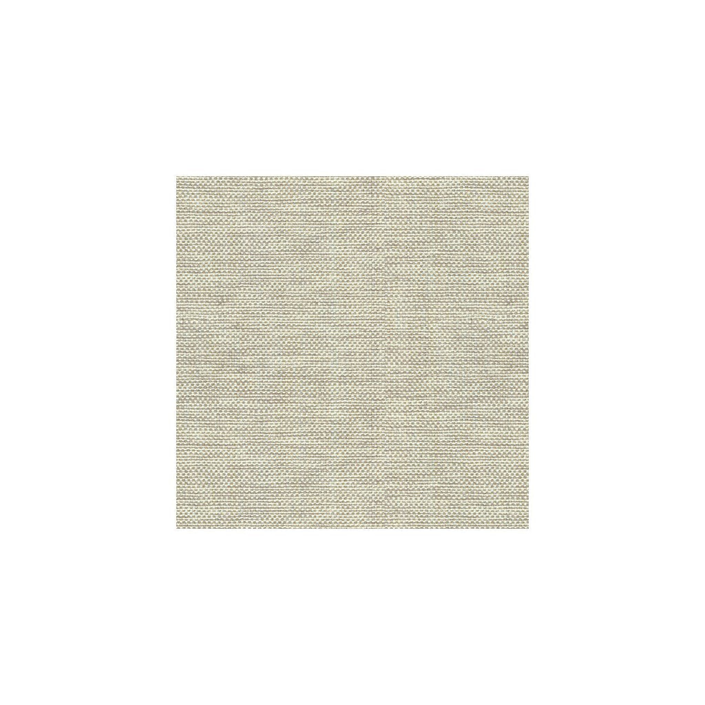 Kravet Basics - 30299-106