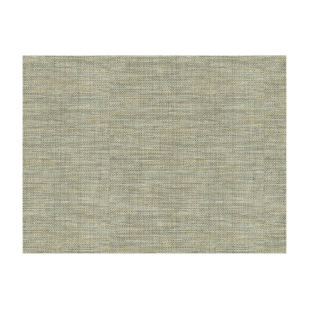 Kravet Basics - 30299-1106